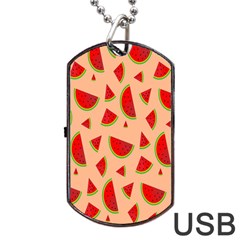 Fruit-water Melon Dog Tag Usb Flash (one Side)