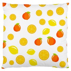 Fruits,orange Standard Flano Cushion Case (two Sides) by nateshop