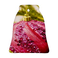 Christmas Decoration 7 Bell Ornament (two Sides) by artworkshop