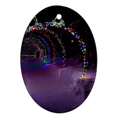 Outdoor Christmas Lights Tunnel Oval Ornament (two Sides) by artworkshop