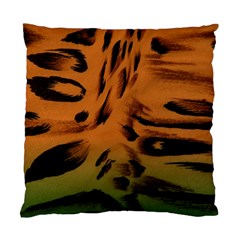 Background-011 Standard Cushion Case (two Sides) by nateshop