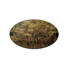 Landscape Jungle Reflection Nature Sticker Oval (10 Pack)