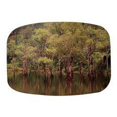 Landscape Jungle Reflection Nature Mini Square Pill Box by Wegoenart