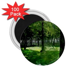 Beeches Trees Tree Lawn Forest Nature 2 25  Magnets (100 Pack)  by Wegoenart