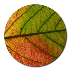 Leaf Autumn Fall Season Macro Round Mousepad by Wegoenart