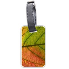 Leaf Autumn Fall Season Macro Luggage Tag (one Side) by Wegoenart