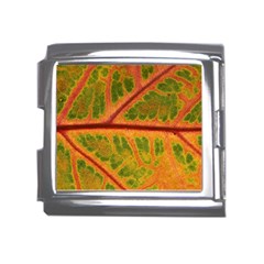 Leaf Veins Texture Autumn Fall Mega Link Italian Charm (18mm)