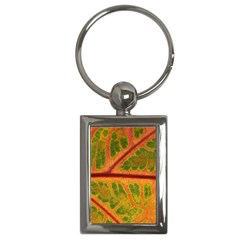 Leaf Veins Texture Autumn Fall Key Chain (rectangle) by Wegoenart