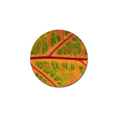 Leaf Veins Texture Autumn Fall Golf Ball Marker (10 Pack)