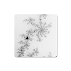 Mandelbrot Apple Males Mathematics Square Magnet