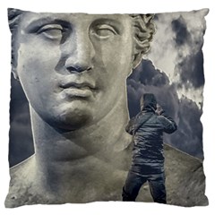 Men Taking Photos Of Greek Goddess Standard Flano Cushion Case (one Side) by dflcprintsclothing