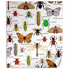 Insects-seamless-pattern Canvas 8  X 10 