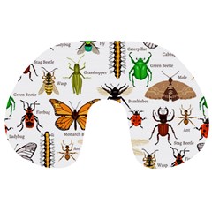 Insects-seamless-pattern Travel Neck Pillow by Wegoenart