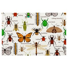 Insects-seamless-pattern Banner And Sign 6  X 4  by Wegoenart