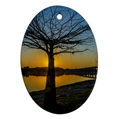 Grande Stream Landscape, Flores, Uruguay002 Ornament (oval) by dflcprintsclothing