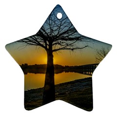 Grande Stream Landscape, Flores, Uruguay002 Star Ornament (two Sides) by dflcprintsclothing