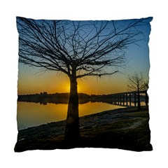 Grande Stream Landscape, Flores, Uruguay002 Standard Cushion Case (two Sides) by dflcprintsclothing