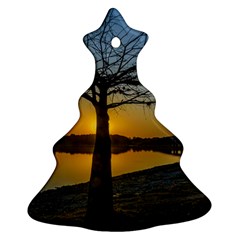 Grande Stream Landscape, Flores, Uruguay002 Christmas Tree Ornament (two Sides) by dflcprintsclothing