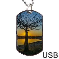 Grande Stream Landscape, Flores, Uruguay002 Dog Tag Usb Flash (two Sides) by dflcprintsclothing