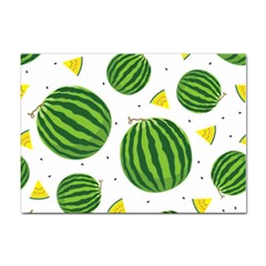 Watermelon Fruit Sticker A4 (100 Pack) by ConteMonfrey