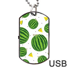 Watermelon Fruit Dog Tag Usb Flash (two Sides) by ConteMonfrey