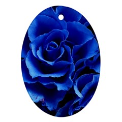 Blue Rose Flower Plant Romance Oval Ornament (two Sides) by Wegoenart