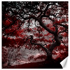 Tree Red Nature Abstract Mood Canvas 16  X 16  by Ravend