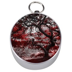 Tree Red Nature Abstract Mood Silver Compasses