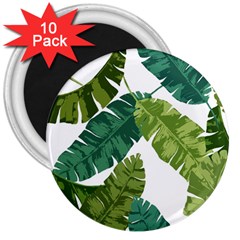 Banana Leaves Tropical 3  Magnets (10 Pack)  by ConteMonfrey