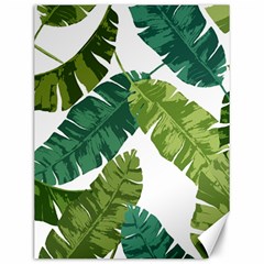 Banana Leaves Tropical Canvas 12  X 16  by ConteMonfrey
