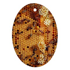 Insect Macro Honey Bee Animal Ornament (oval)