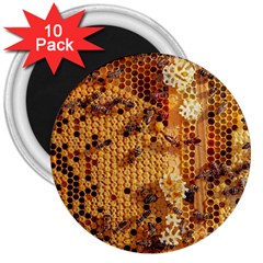 Insect Macro Honey Bee Animal 3  Magnets (10 pack) 