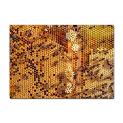 Insect Macro Honey Bee Animal Sticker A4 (10 pack)