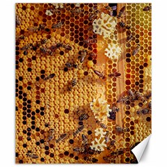 Insect Macro Honey Bee Animal Canvas 20  X 24  by Wegoenart