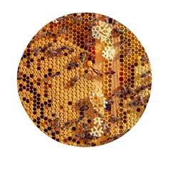 Insect Macro Honey Bee Animal Mini Round Pill Box