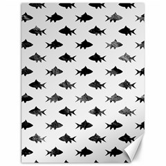 Cute Small Sharks   Canvas 12  X 16  by ConteMonfrey