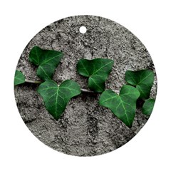 Vine On Damaged Wall Photo Ornament (round) by dflcprintsclothing