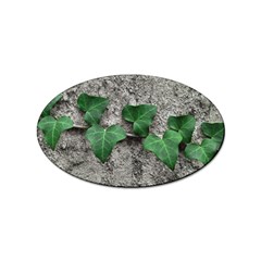 Vine On Damaged Wall Photo Sticker Oval (10 Pack) by dflcprintsclothing