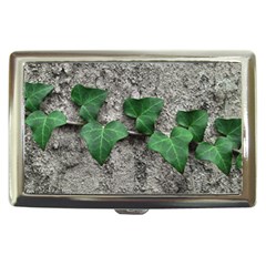 Vine On Damaged Wall Photo Cigarette Money Case by dflcprintsclothing