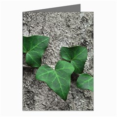 Vine On Damaged Wall Photo Greeting Cards (pkg Of 8) by dflcprintsclothing