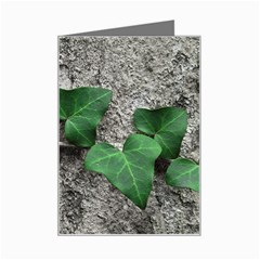 Vine On Damaged Wall Photo Mini Greeting Card by dflcprintsclothing