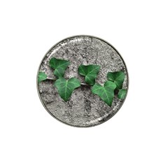 Vine On Damaged Wall Photo Hat Clip Ball Marker (10 Pack) by dflcprintsclothing