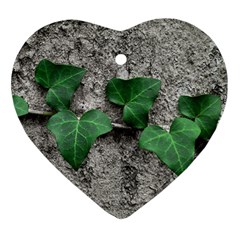 Vine On Damaged Wall Photo Heart Ornament (two Sides) by dflcprintsclothing