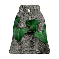 Vine On Damaged Wall Photo Bell Ornament (two Sides) by dflcprintsclothing
