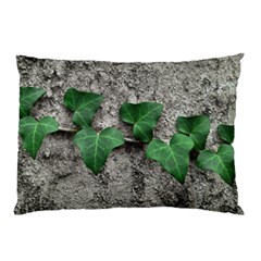 Vine On Damaged Wall Photo Pillow Case (two Sides) by dflcprintsclothing