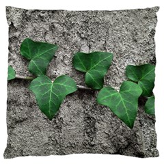 Vine On Damaged Wall Photo Large Cushion Case (two Sides) by dflcprintsclothing