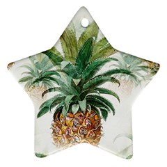 Pineapple Pattern Background Seamless Vintage Ornament (Star)