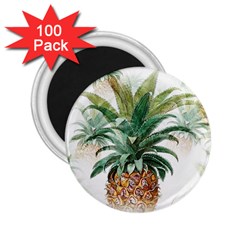 Pineapple Pattern Background Seamless Vintage 2.25  Magnets (100 pack) 
