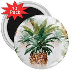 Pineapple Pattern Background Seamless Vintage 3  Magnets (10 pack) 