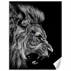 Roar Angry Male Lion Black Canvas 18  X 24  by danenraven